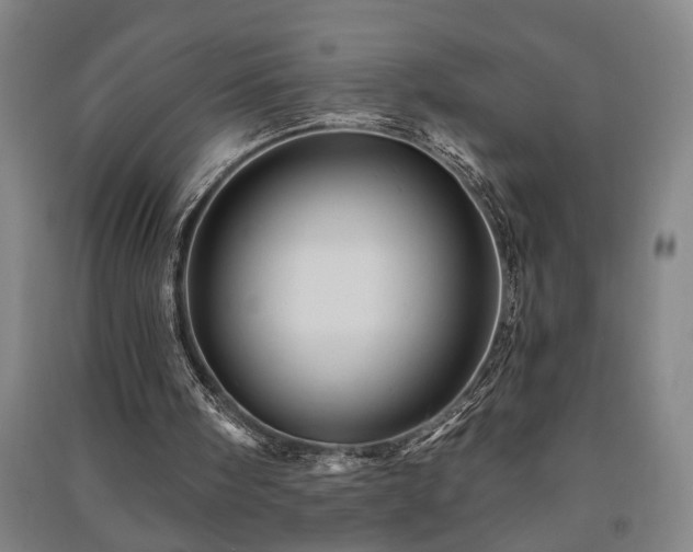 X0000091230098200708161724