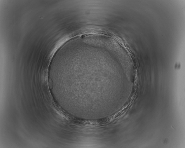 X0000091230099200708161724