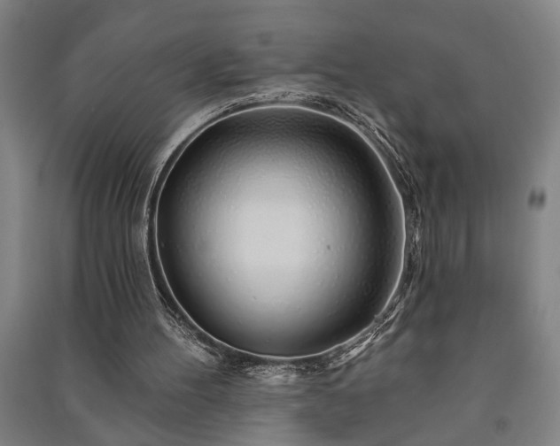 X0000091230100200708161724
