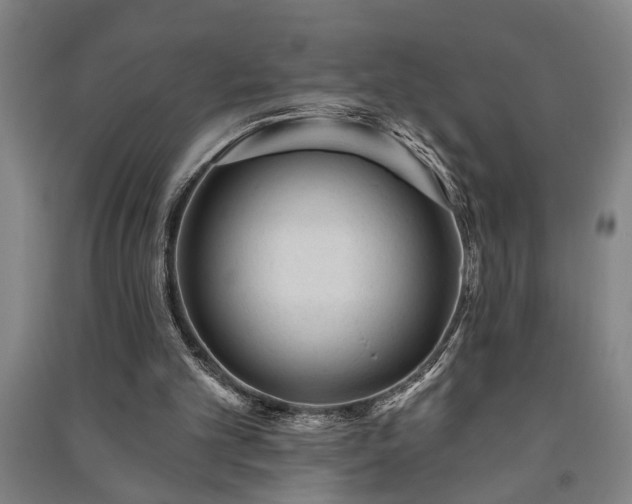 X0000091230101200708161724