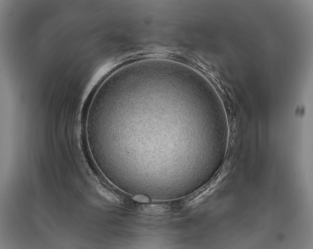 X0000091230102200708161724