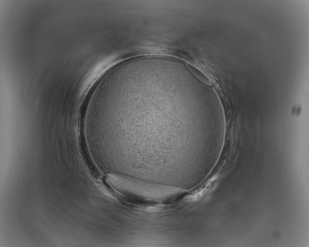 X0000091230103200708161724