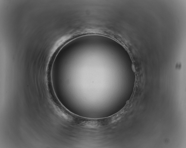 X0000091230104200708161724