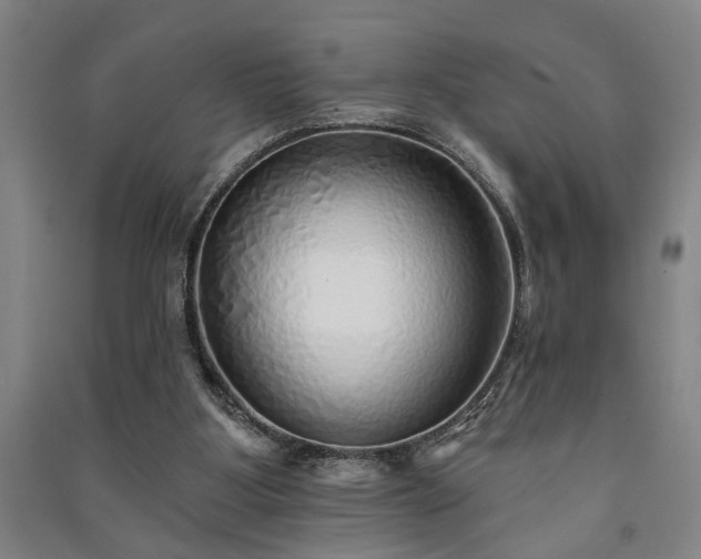 X0000091230107200708161724