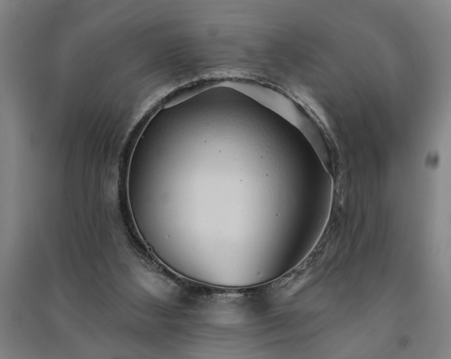 X0000091230108200708161724