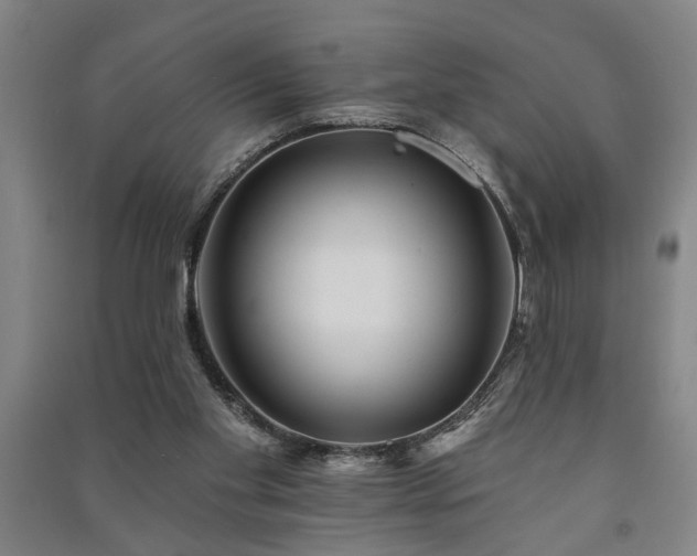 X0000091230109200708161724