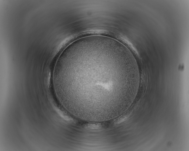 X0000091230110200708161724