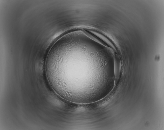 X0000091230111200708161724