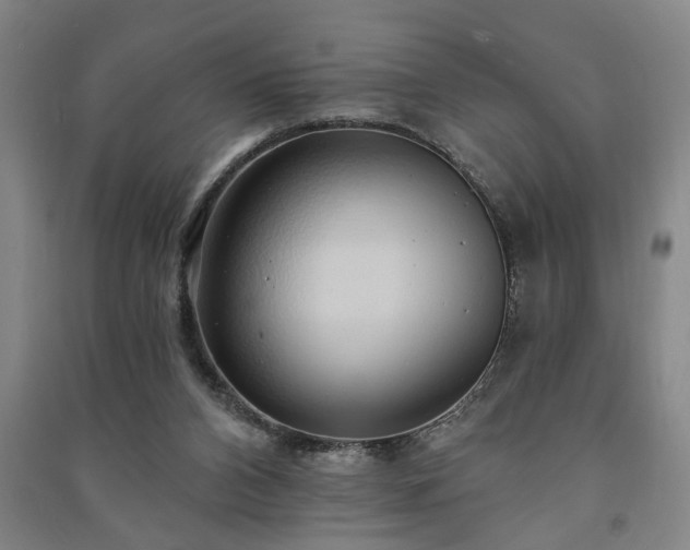 X0000091230112200708161724