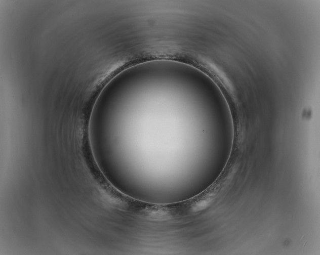 X0000091230113200708161724