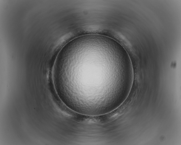 X0000091230115200708161724