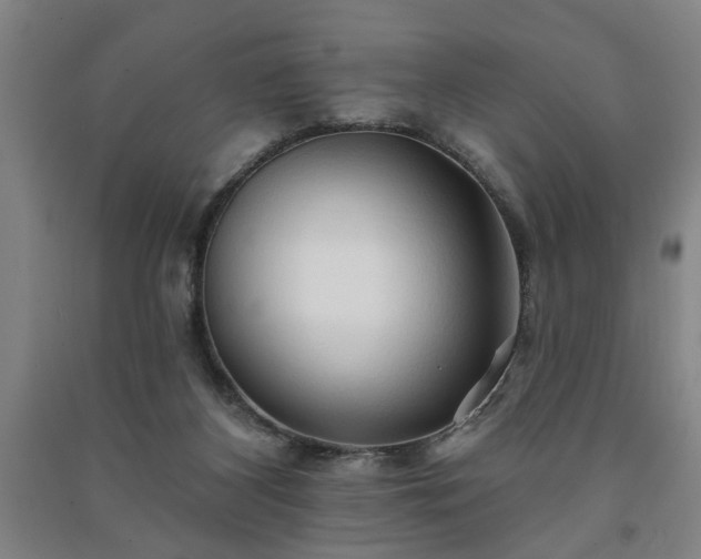 X0000091230116200708161724