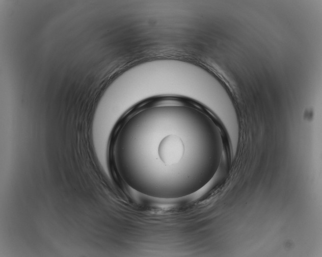 X0000091230117200708161724