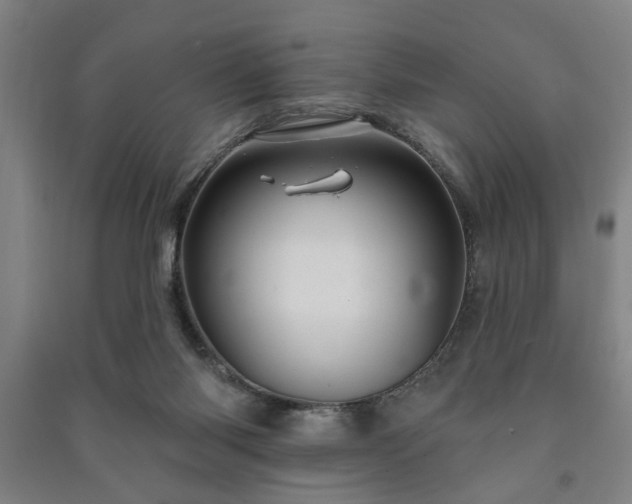 X0000091230118200708161724