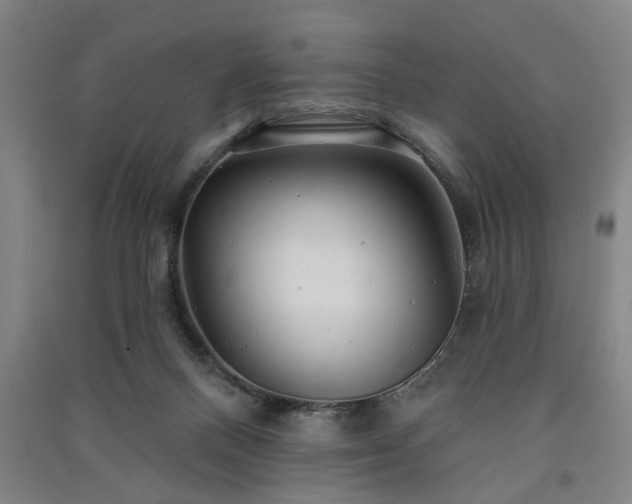 X0000091230120200708161724