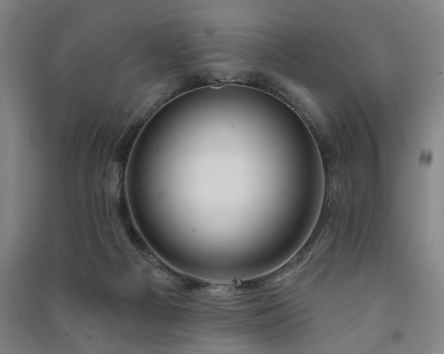 X0000091230121200708161724