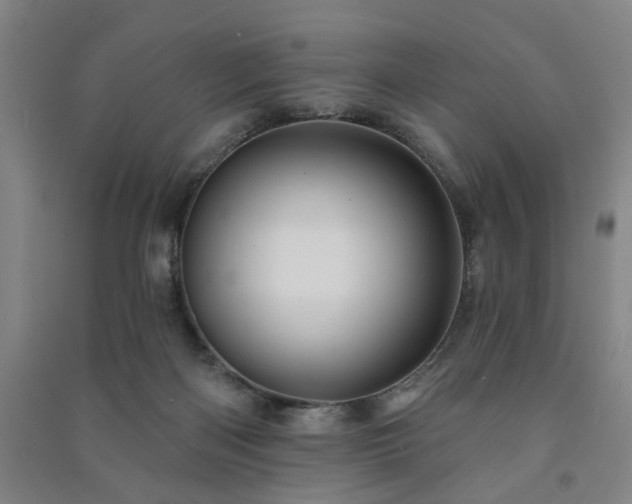X0000091230122200708161724
