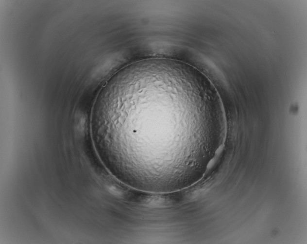X0000091230123200708161724
