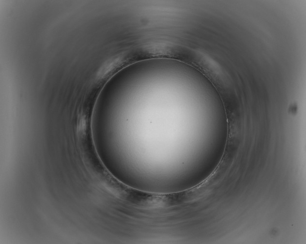 X0000091230124200708161724