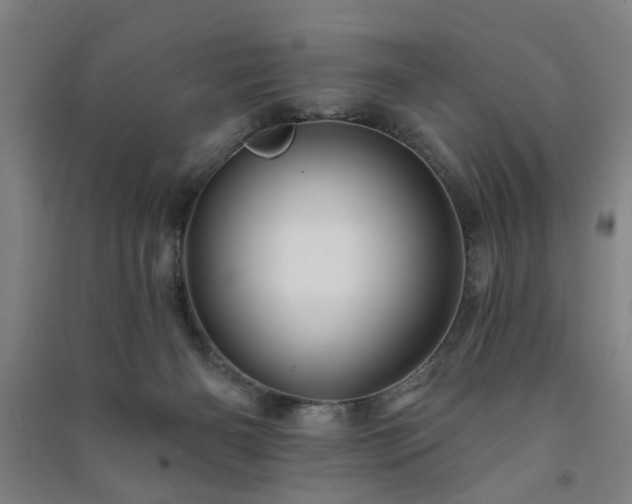 X0000091230126200708161724