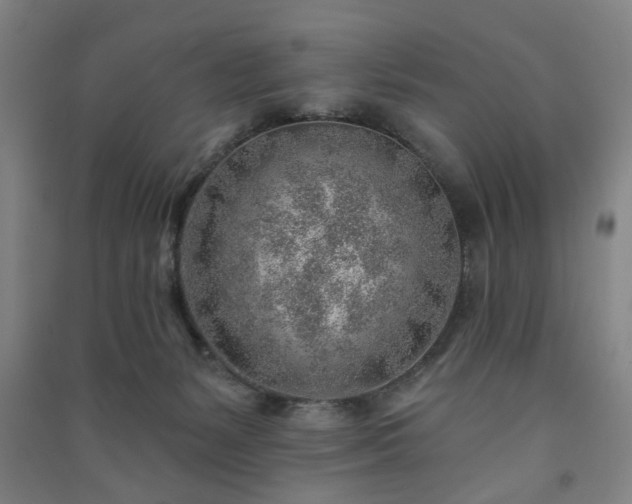 X0000091230127200708161724