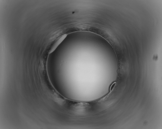 X0000091230128200708161724
