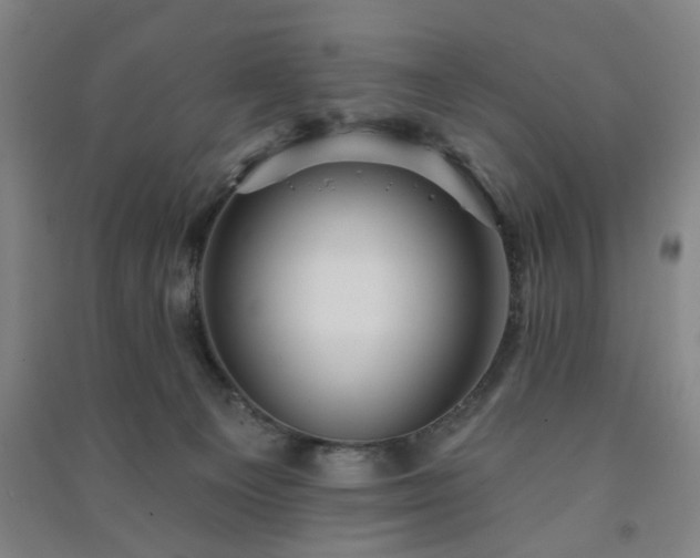 X0000091230129200708161724