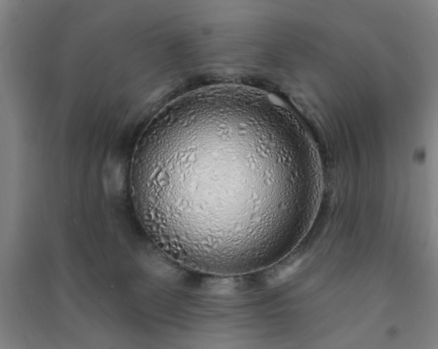 X0000091230131200708161724