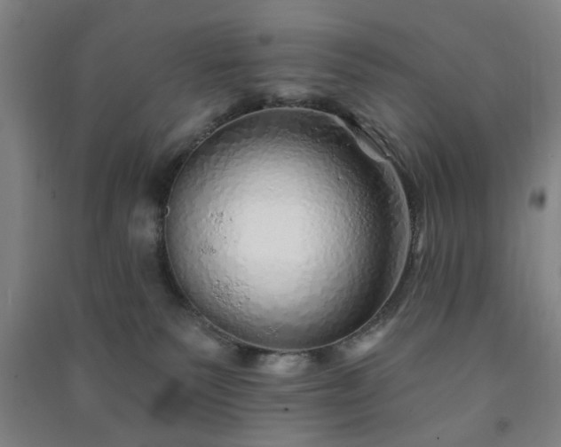 X0000091230135200708161724