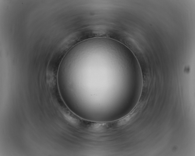 X0000091230136200708161724