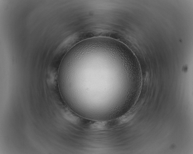 X0000091230138200708161724