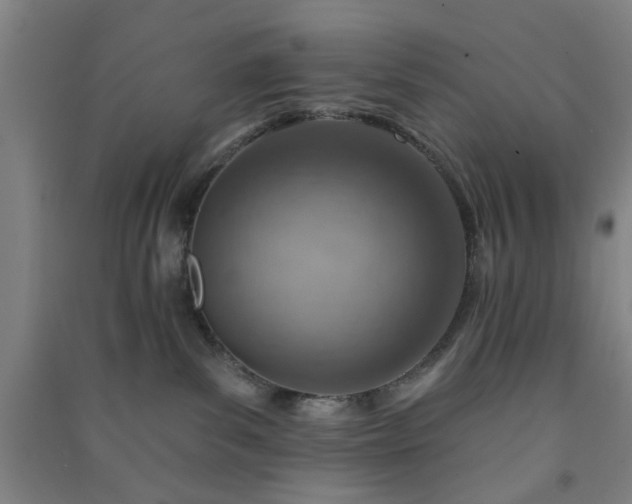 X0000091230139200708161724