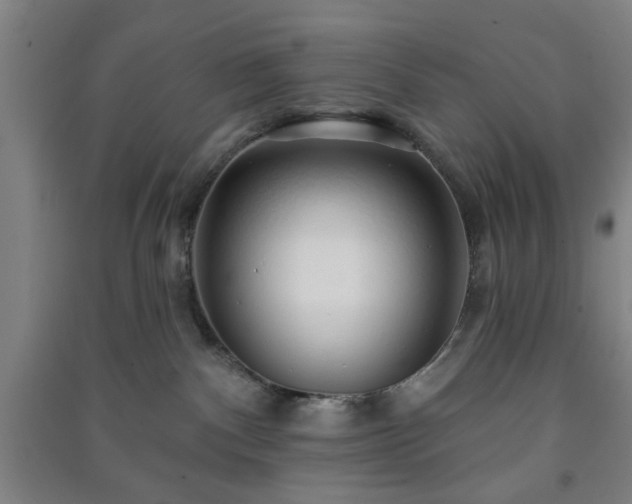 X0000091230140200708161724