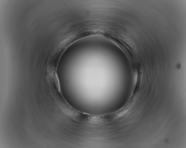 X0000091230141200708161724