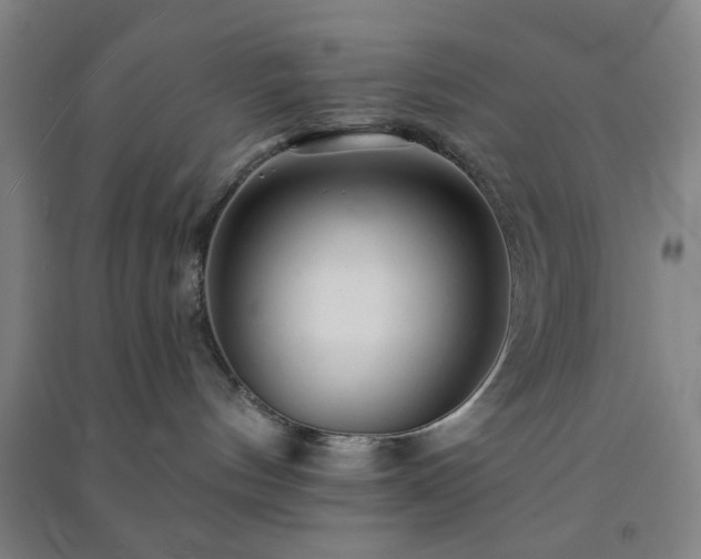X0000091230144200708161724
