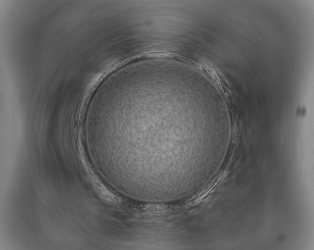 X0000091230145200708161723