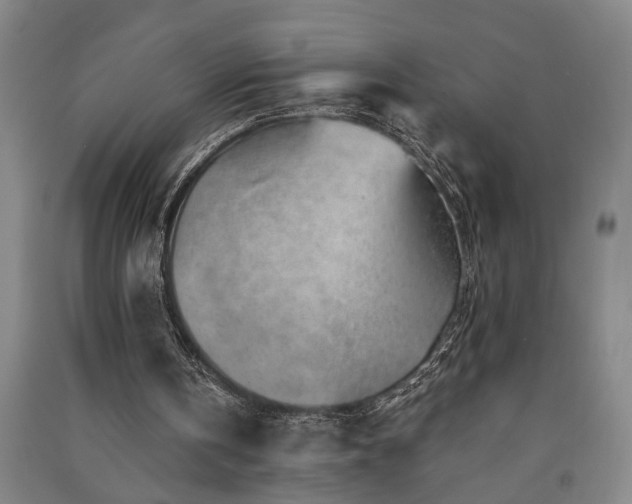 X0000091230146200708161723