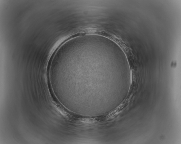 X0000091230147200708161723