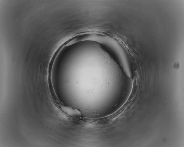 X0000091230148200708161723