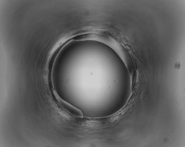 X0000091230150200708161723