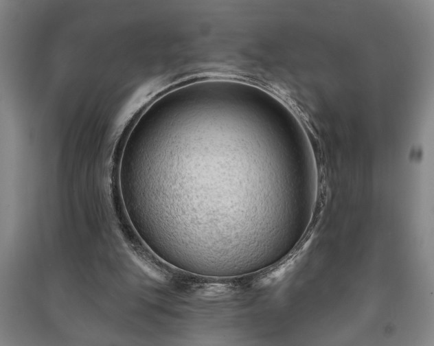 X0000091230151200708161723