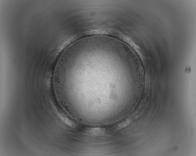 X0000091230153200708161723