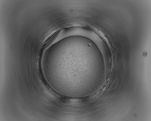 X0000091230154200708161723