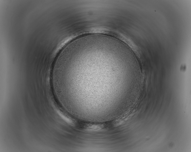 X0000091230155200708161723