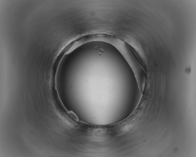 X0000091230156200708161723