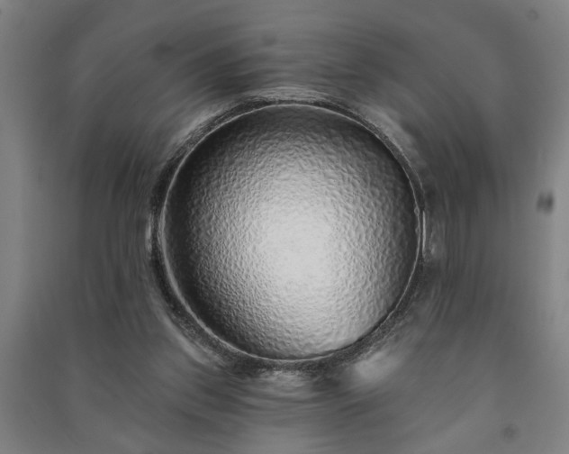 X0000091230157200708161723
