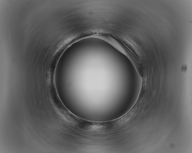 X0000091230158200708161723