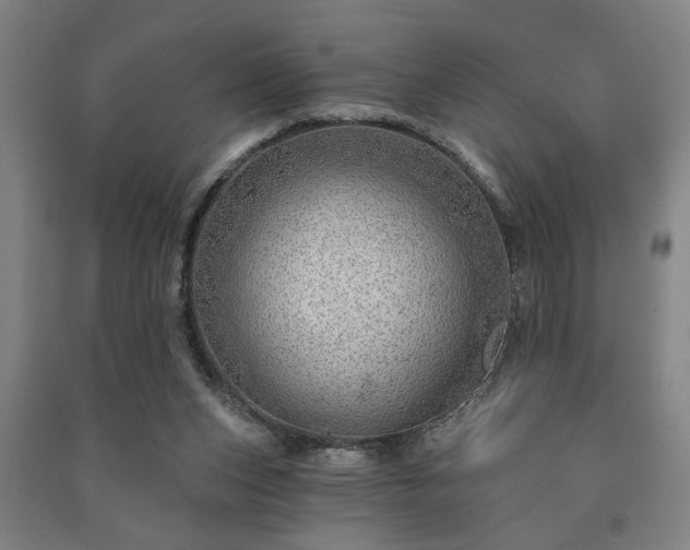 X0000091230159200708161723