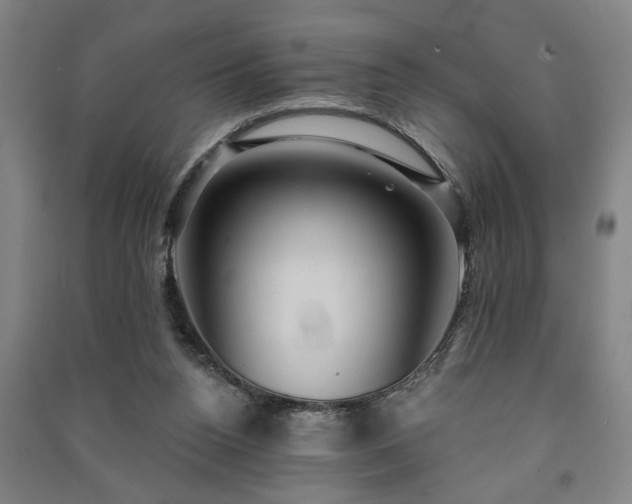 X0000091230160200708161723