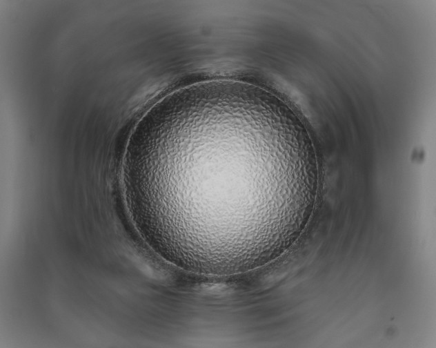 X0000091230161200708161723